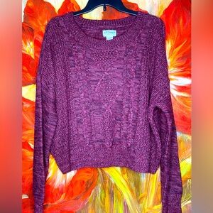 New Arizona Jeans Crop Sweater